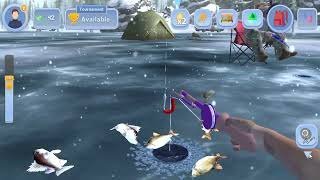 Ice fishing game online - Experience the Thrills of Ice Fishing at Top UK Live Casinos